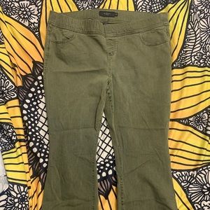 Torrid Olive Green Bootcut Pull on Denim